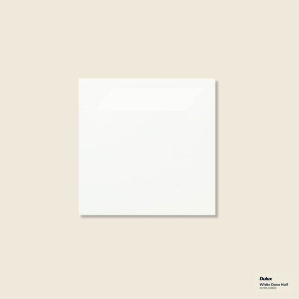 White Gloss Wall Tile Subway Tile