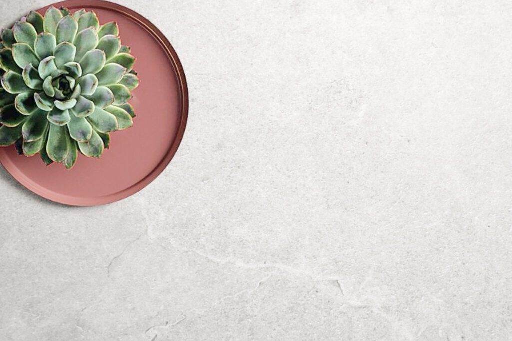 Anz Moon Matt Tile 300x600 / 600x600 (Code:02283)