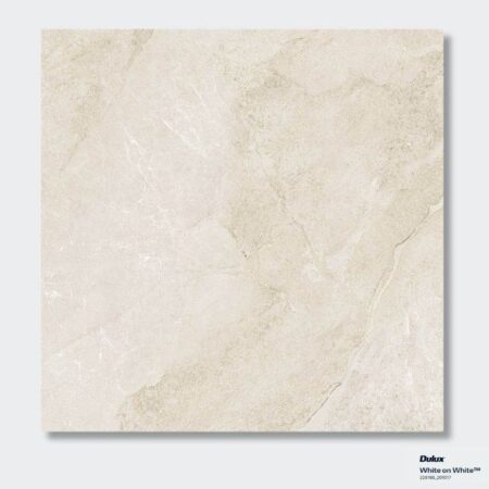 Carina Salt Coping Square Edge 398x600 20mm (Code:02711)