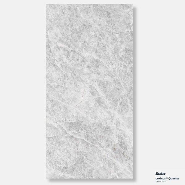 Tundra Grey Alpine 3D cheap stone look tile (7)