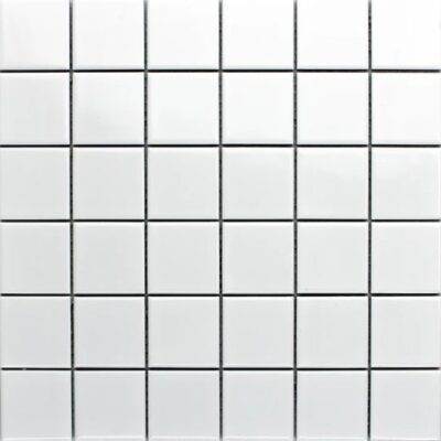 Square White Gloss 48x48 Mosaic Tile (Code:02767)