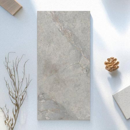 Newport Gris In&Out Stone Look Tile 300x600 (Code:02935)