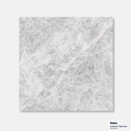 Alpine Grey In&Out Tundra Look Tile 600x600 (Code:02951)